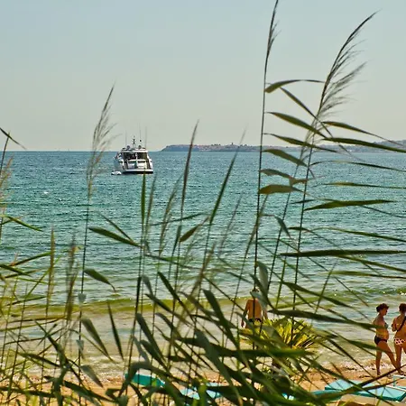 Flores Garden * Chernomorets